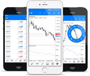 Best Forex Trading Robots